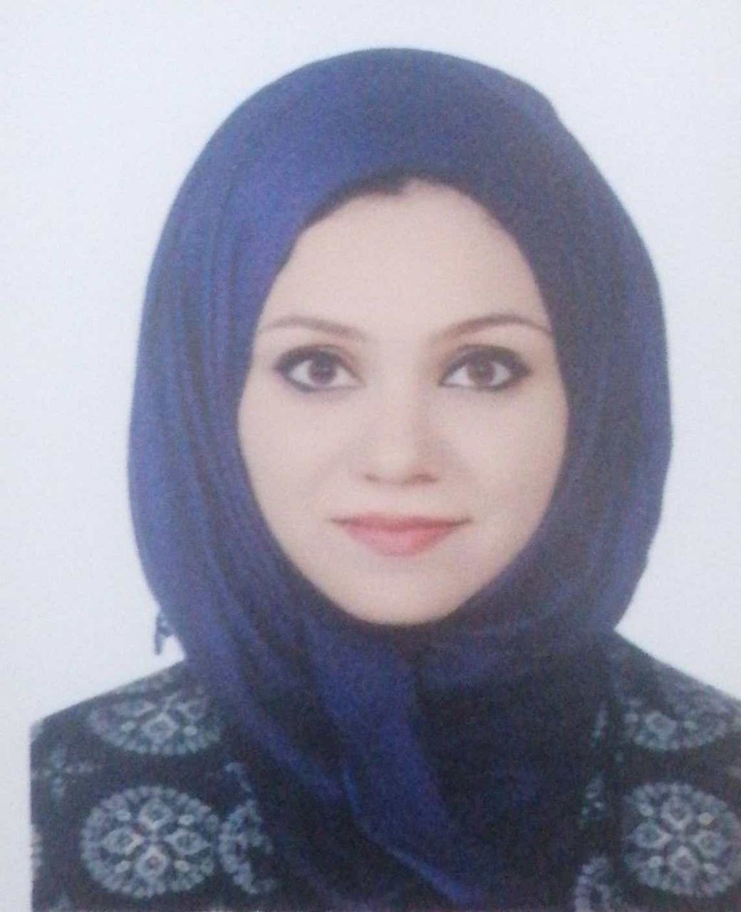 Alaa Hussein Ali